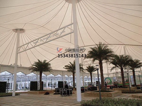 膜結(jié)構(gòu)預(yù)算單誰能做？